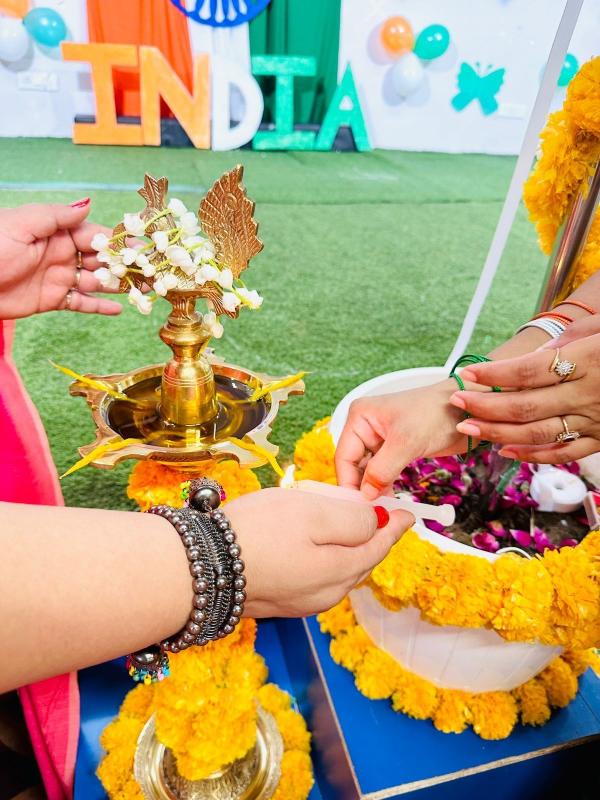 Divine Shine Public School